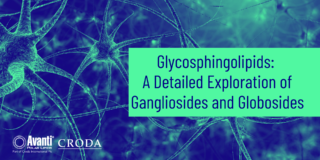 Glycosphingolipids 2