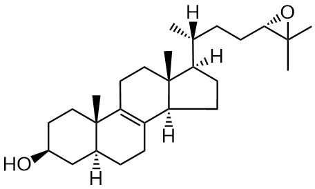 24S,25-epoxyzymosterol