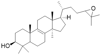 24(S/R) 25-epoxylanosterol