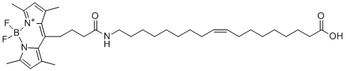 TopFluor® Oleic Acid