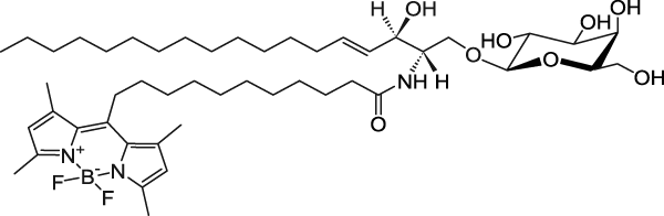 C11 TopFluor® Galactosyl Ceramide