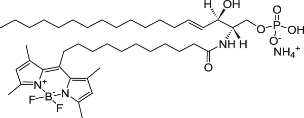 C11 TopFluor® Ceramide-1-Phosphate