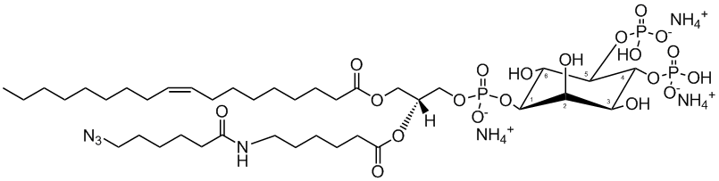 Click PI(4,5)P2-azido