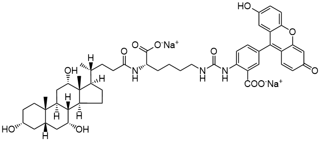 Cholyl-Lys-Fluorescein