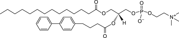 14:0-04:0(biphenyl) PC (TBBPC)