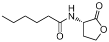 N-Hexanoyl-L-homoserine lactone