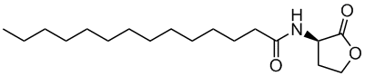 N-tetradecanoyl-D-homoserine lactone