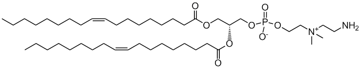18:1 aminoethyl PC