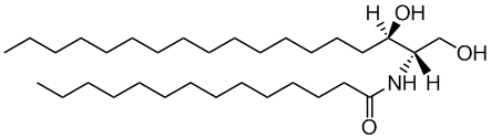 C14 dihydroceramide (d18:0/14:0)