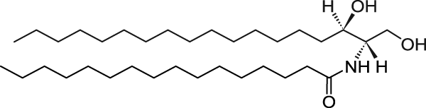 C16 Dihydroceramide (d18:0/16:0)