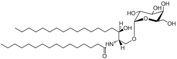 C16 Galactosyl (α) Dihydroceramide (d18:0/16:0)