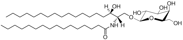 C16 Galactosyl (ß) Dihydroceramide (d18:0/16:0)