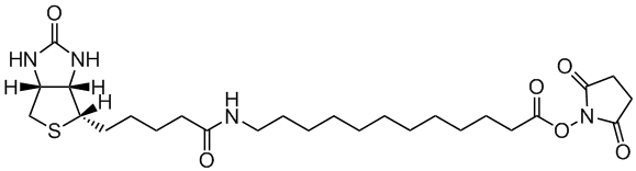 12:0 N-Biotinyl fatty acid, NHS