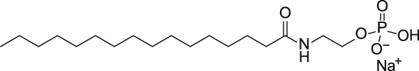 C16:0 anandamide phosphate