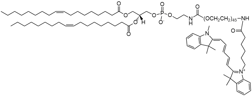 Structures of 1,2-dioleoyl-sn-glycero-3-phosphocholine 